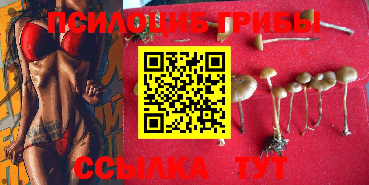 наркота  Галлюциногенные грибы MAGIC MUSHROOMS  Галлюциногенные грибы Psilocybe  Вход с VPN  Электросталь 